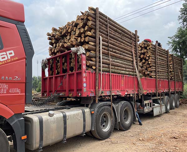 松木樁在土壤中的耐腐蝕性能如何？