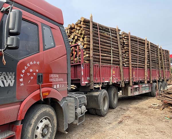 松木樁適用于哪些類型的地基加固工程？