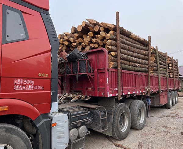 杉木樁的環(huán)保性能如何，對(duì)環(huán)境有無(wú)負(fù)面影響？