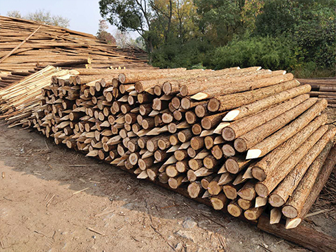 松木樁在運(yùn)輸中如何固定？