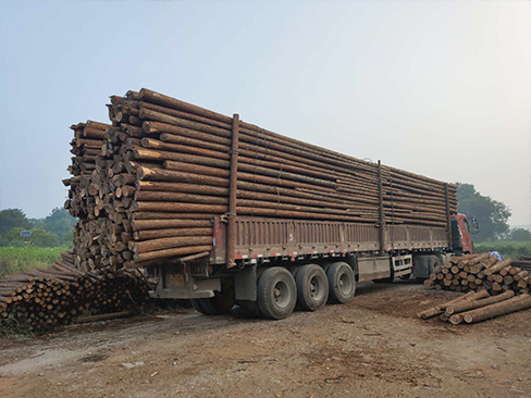 河道木樁的采購渠道有哪些，價格因素主要受什么影響？