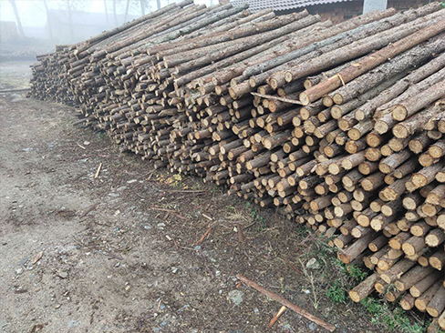 松木樁是否適合用于海洋工程中的基礎(chǔ)結(jié)構(gòu)？