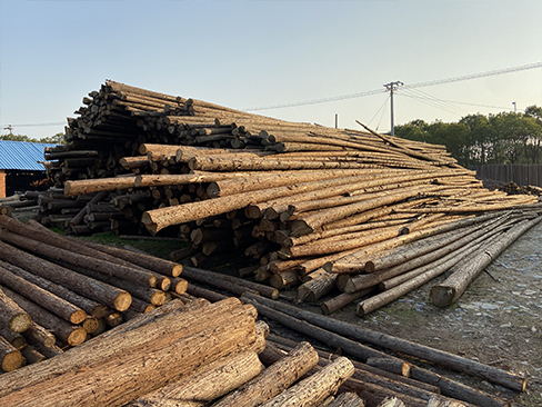 松木樁長(zhǎng)期使用后，是否會(huì)出現(xiàn)變形或開(kāi)裂？