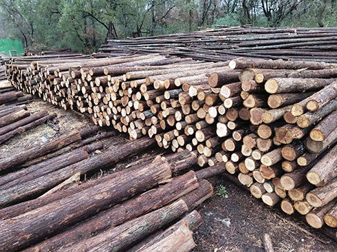 圓木樁施工后如何進(jìn)行質(zhì)量檢查和驗(yàn)收？