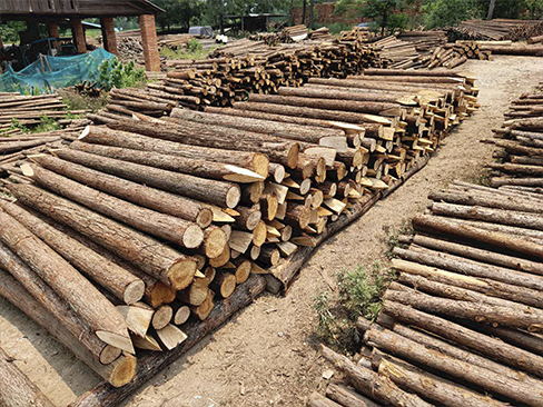 圓木樁的密度對(duì)其承載性能有何影響？