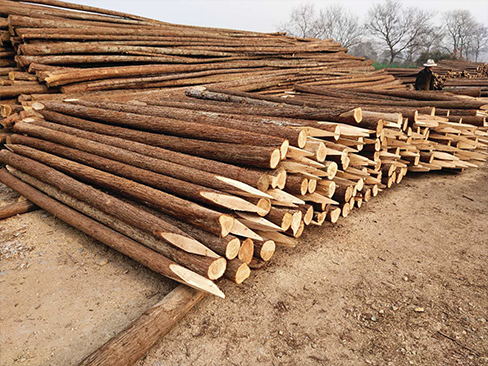 圓木樁與鋼筋混凝土樁的組合使用優(yōu)勢(shì)？