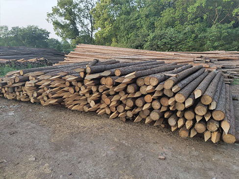 圓木樁的運輸和存儲有哪些特殊要求？