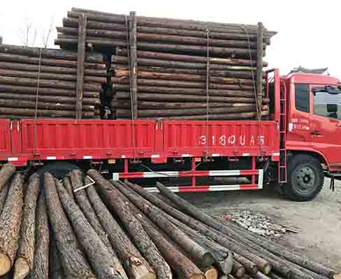 河道木樁的廢棄物如何處理？