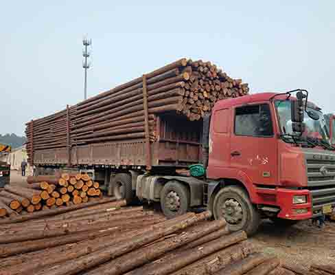 河道木樁的來源是否可持續(xù)？