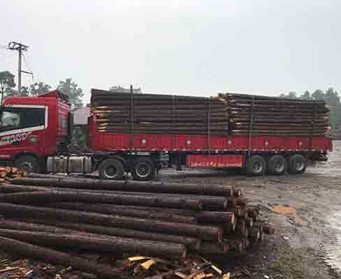 觀景木樁在園林景觀設(shè)計(jì)中有哪些應(yīng)用？