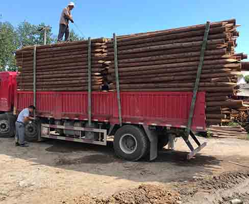 駁岸木樁的使用壽命一般是多久？