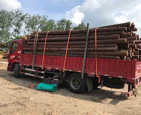 駁岸木樁如何在沼澤地或軟土地基中有效固定？