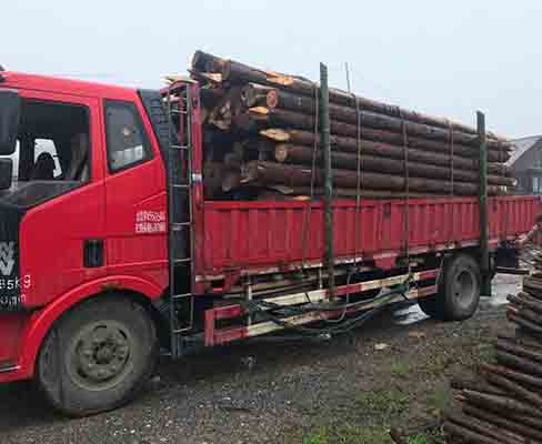 綠化支撐桿的長(zhǎng)度一般能定制到多長(zhǎng)？