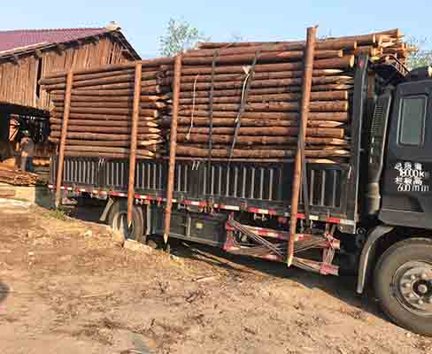 河道木樁防腐處理的藥劑有哪些？