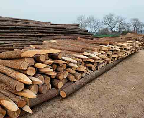 打樁木的抽檢比例一般是多少？