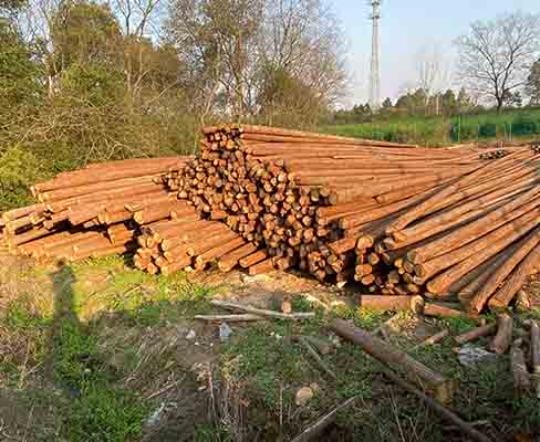 打樁木防腐處理需要多長時間？