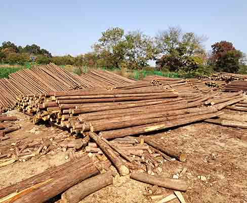 觀景木樁的環(huán)保性能如何，對環(huán)境有無負面影響？