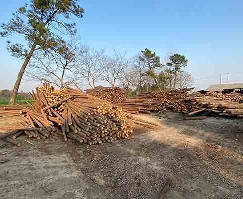 觀景木樁在農(nóng)業(yè)領(lǐng)域的應(yīng)用，如溫室支撐等。