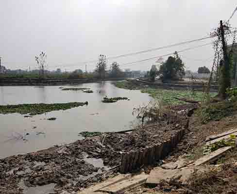 河道木樁長期使用后的性能變化如何監(jiān)測？