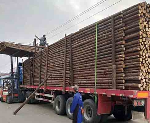 駁岸木樁在寒冷地區(qū)使用的適應(yīng)性及保護(hù)措施？