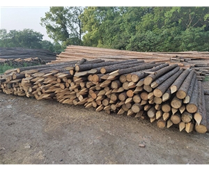 支撐桿的蟲蛀情況如何檢查？