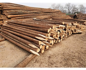 支撐桿防腐處理的藥劑有哪些？