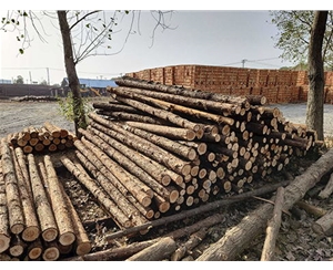 支撐桿不同防腐處理方法成本差異大嗎？