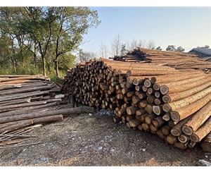 河道木樁的耐腐蝕性怎樣？