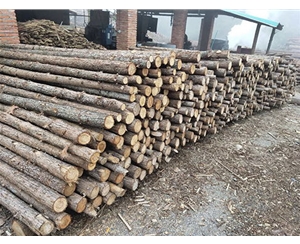 支撐桿的霉變現(xiàn)象怎么判斷？