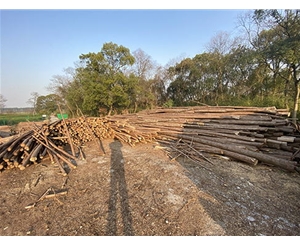 河道木樁運輸過程中如何防止損壞？