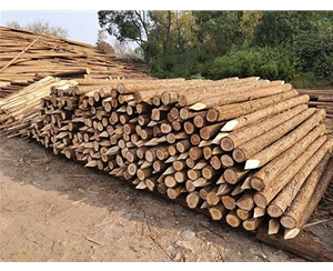 支撐桿的環(huán)保認證有哪些？