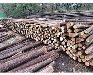 支撐桿使用過程中如何定期維護(hù)？