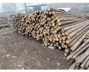 河道木樁存儲(chǔ)時(shí)間過(guò)長(zhǎng)會(huì)有什么影響？