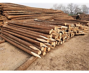 河道木樁的隔音效果怎么樣？