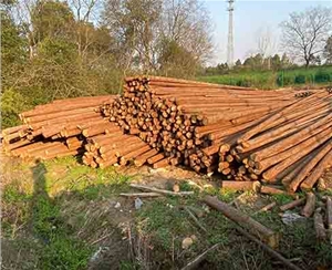 原木樁的維護成本高嗎？