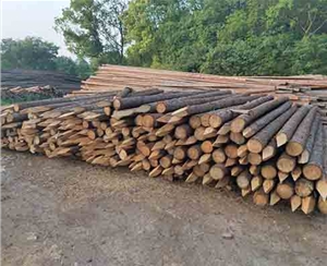 觀景木樁的含水率多少算合適？