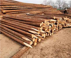 駁岸木樁防腐處理對(duì)環(huán)境有影響嗎？