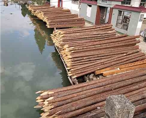 觀景木樁斷裂后能修復(fù)嗎？