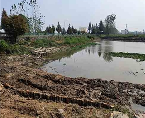 駁岸木樁不同防腐處理方法成本差異大嗎？