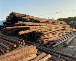 觀景木樁不同防腐處理方法成本差異大嗎？