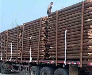 觀景木樁修復(fù)的工藝復(fù)雜嗎？