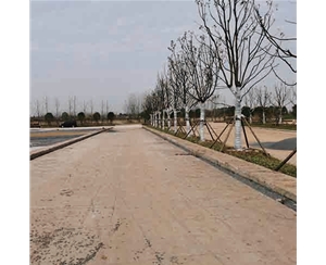 觀景木樁在運輸中如何固定？